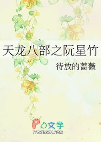 天龙八部之宿敌女生版