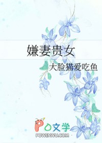 小说贵妻不为妾